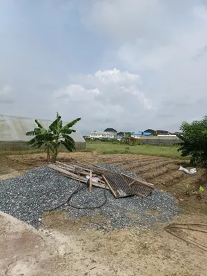 11 Plot of Land Available for Outright Sale