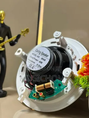Frameless Jbl 40w Ceiling Speaker