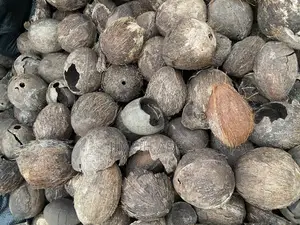 Uncarbonized Coconut Shell