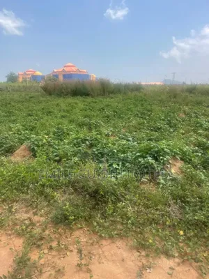 100 Hectares for Mass Development