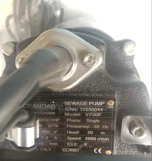 1hp Ocean Dab Sewage Pump