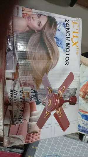 Ceiling Fan