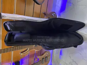 Gig Bag (Soft Case) for a Lead Guitar.
