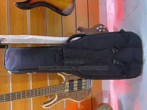 Gig Bag (Soft Case) for a Lead Guitar.