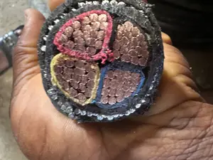 95mmx4core Nigerchin Armored Cable