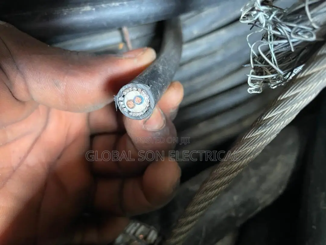 1.5mmx2core Armored Cable