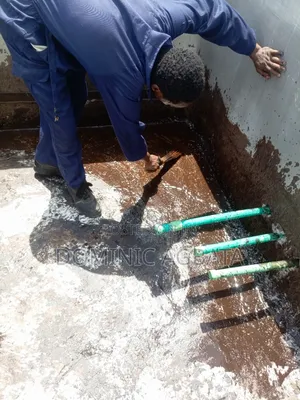 Gracious Leak-Proofing Expert