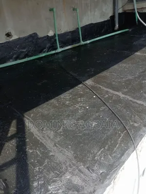 Peppy Leak-Proofing Expert
