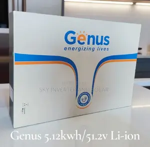 5kwh/24v Genus Lithium Ion Battery