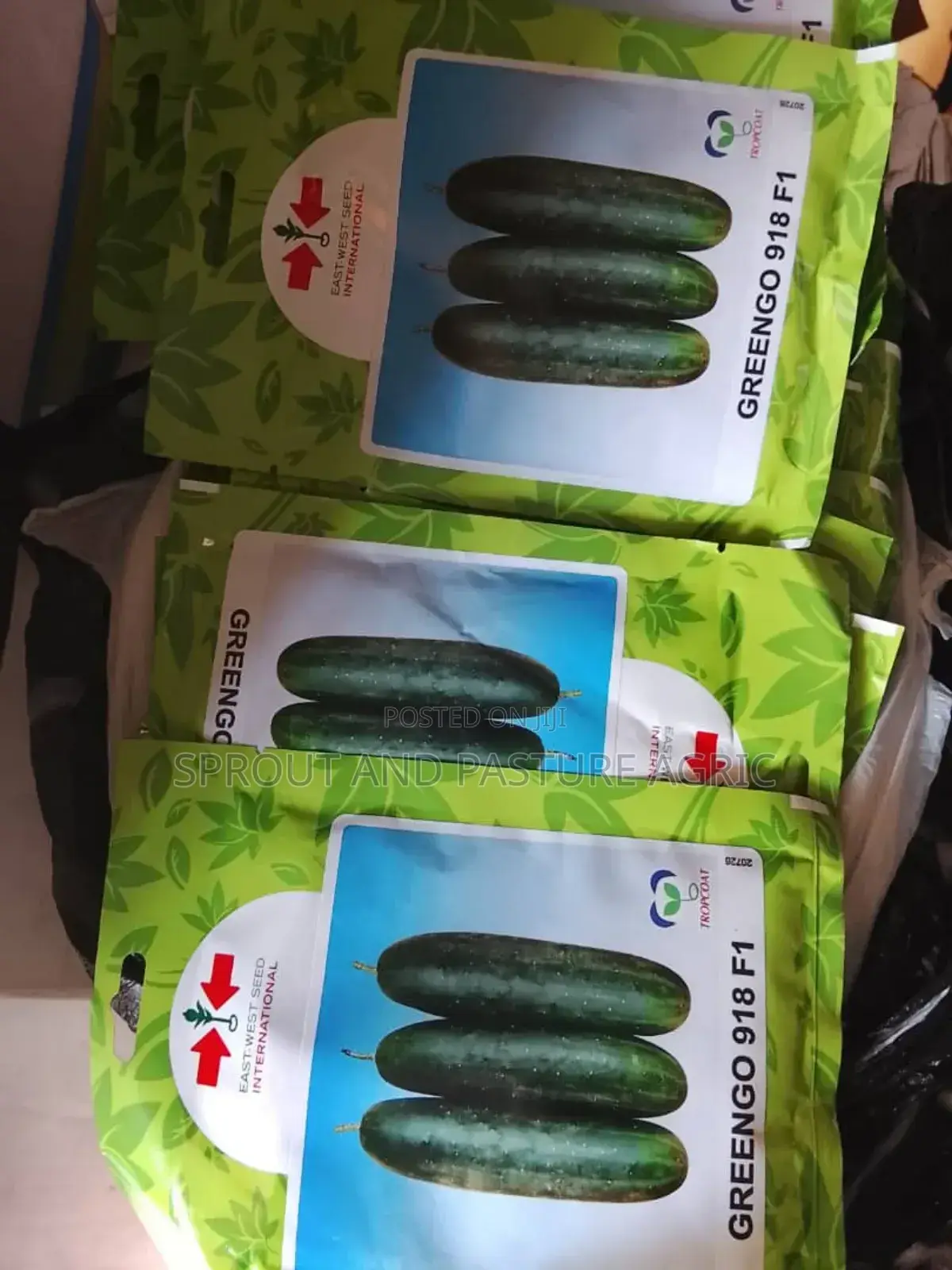 Greengo 500 Seeds