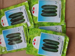 Greengo 500 Seeds