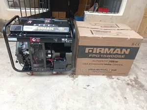 Firman Fpg150000se 10kw Generator With Automatic Transfer Switch