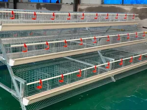 Hot Dipped Galvanized Imported Layers Cage 120birds
