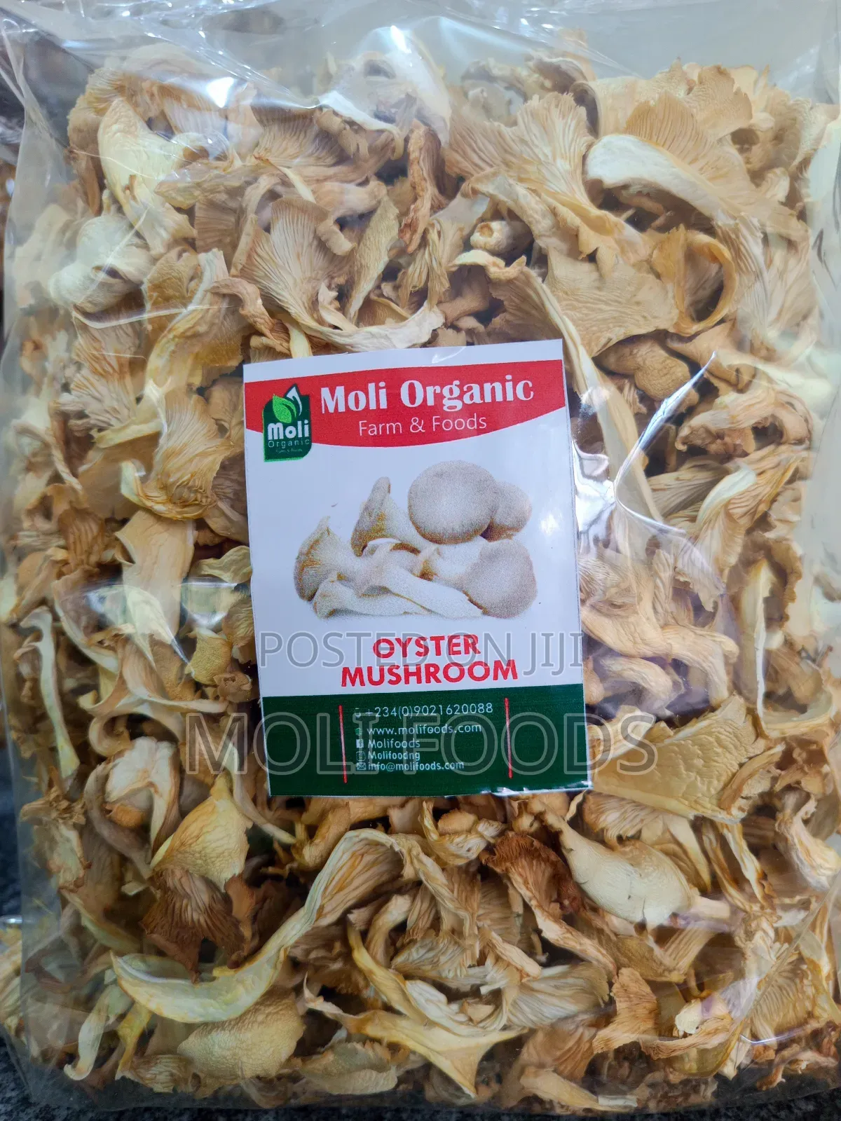 Dried Oysters Mushrooms