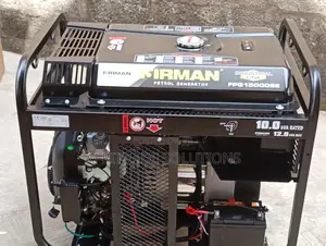 Firman 10kw Fpg150000se Generator – Automatic Voltage Regulation