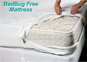 Bedbug Control and Fumigation Cleaning Services in Lagos State