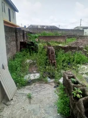 Standard Full Plot of Land Suitable for Diverse Purpose