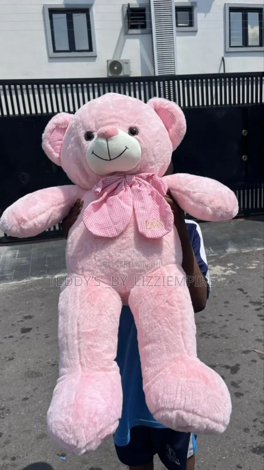 Fluffy Bear