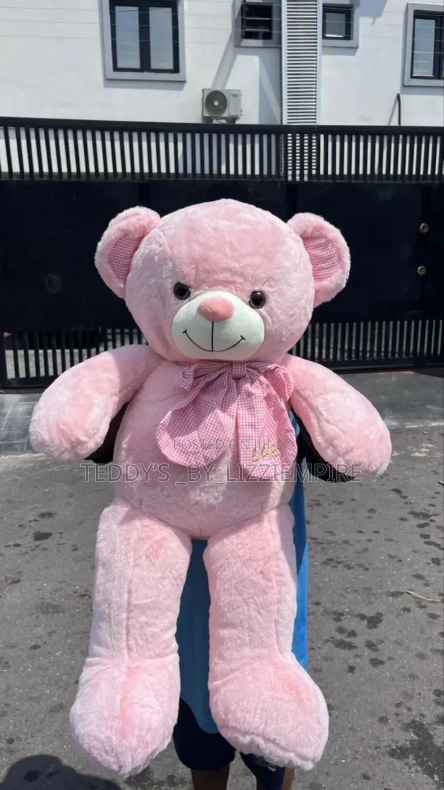 Fluffy Bear