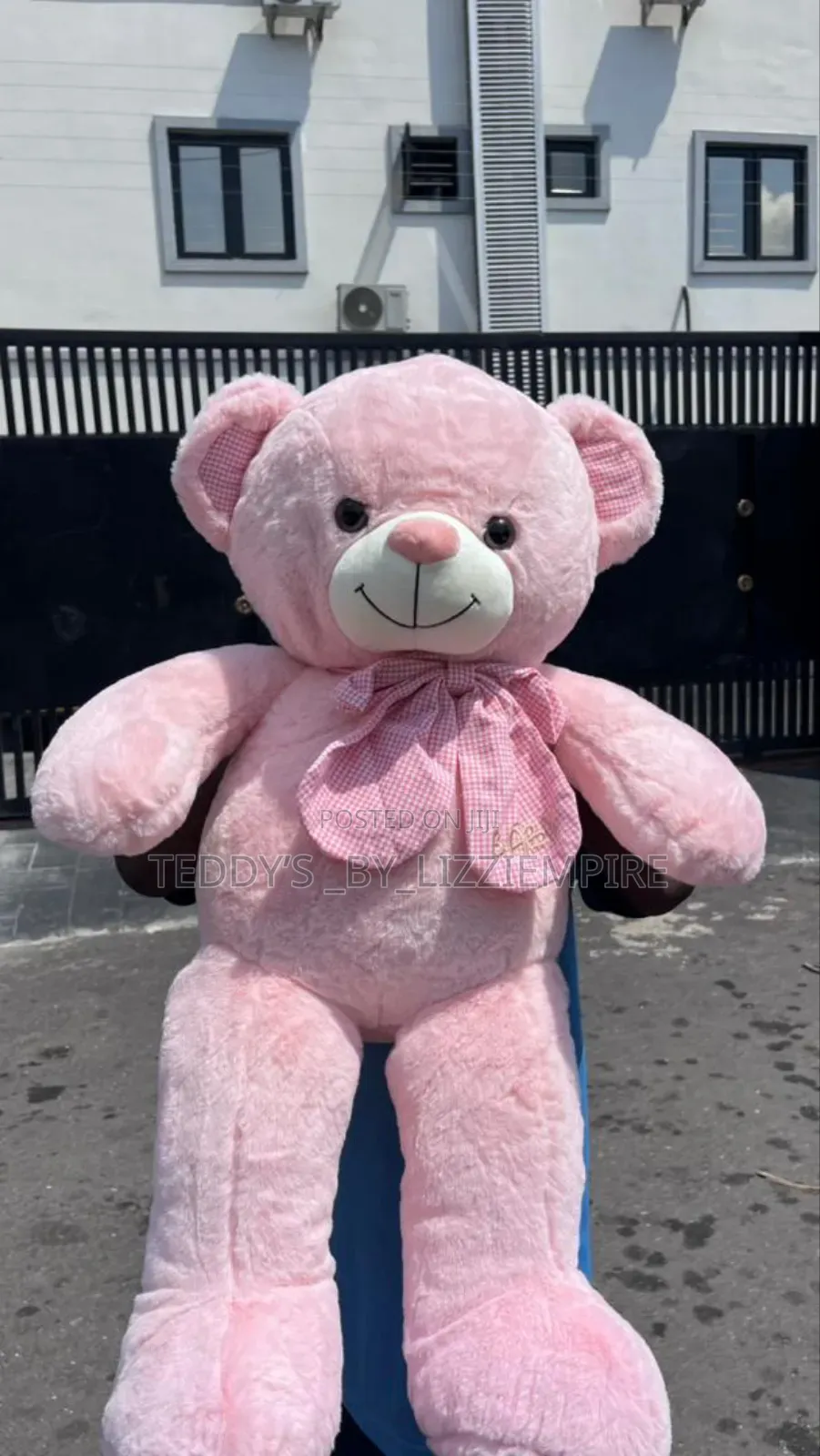 Fluffy Bear