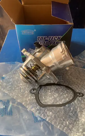 Thermostat Mercedes Benz C300 (W204)