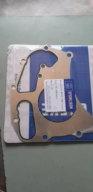 Water Pump Gasket Ecoplus Original One Working Perfectly Ok