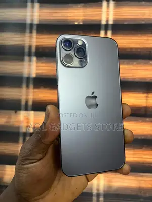 Apple iPhone 12 Pro 256 GB Gray