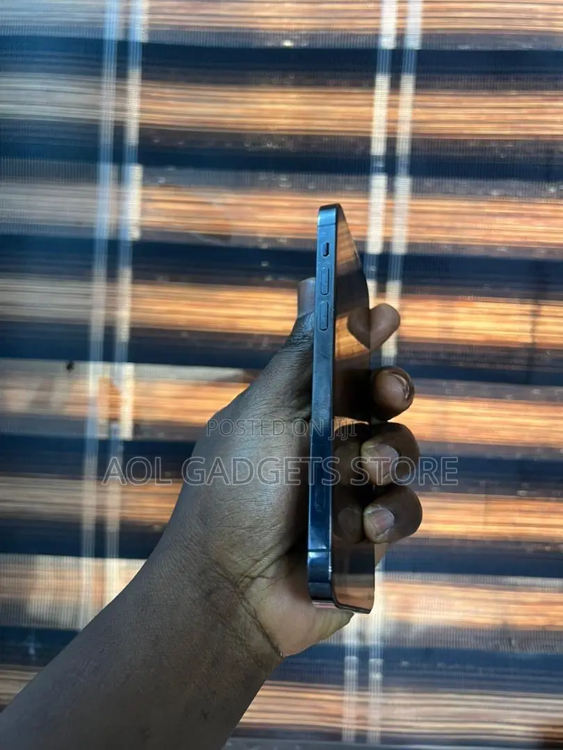 Apple iPhone 12 Pro 256 GB Gray
