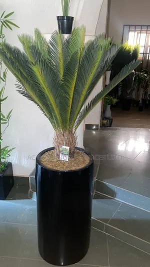 Flowers for Home and Office