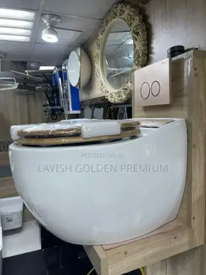 Smart Concealed Toilet Seat