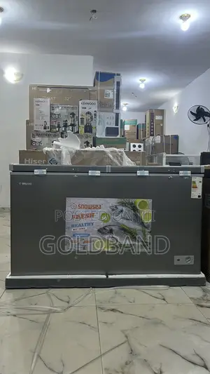 Snowsea Bd600 Double Door Freezer – Fast Freeze, Low Power Use