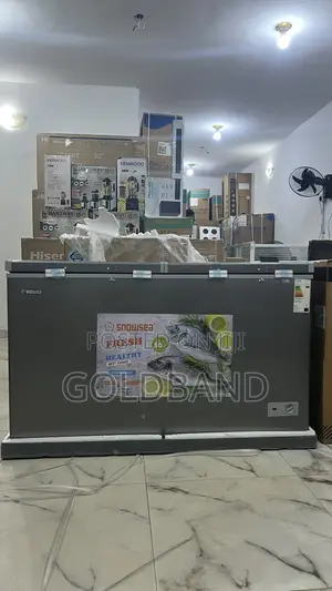 Snowsea Bd600 600l Double Door Freezer – Heavy Duty Performance