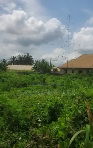 Land Property