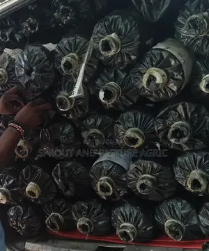 Mulching Film