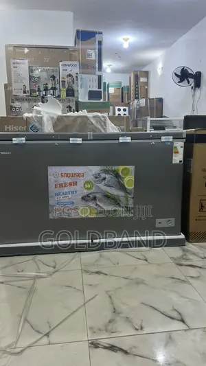 Snowsea Bd600 Double Door Chest Freezer – Reliable Cold Storage