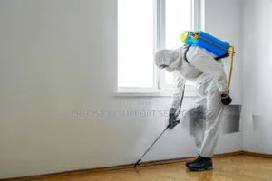 Spotless Pearl Services