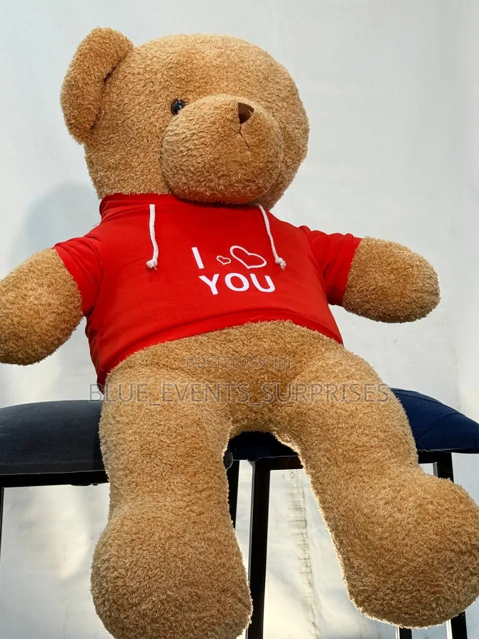 Plus Medium Size Bear (100cm)