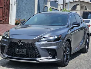 Lexus RX 2023 Gray