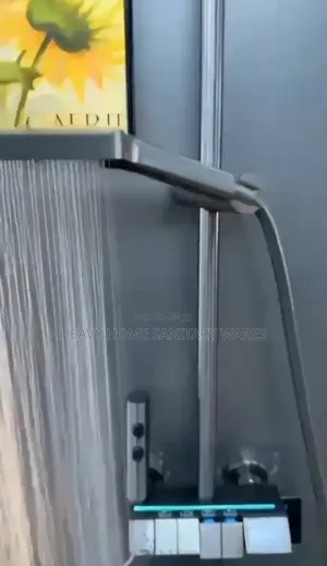 Executive Digital Shower