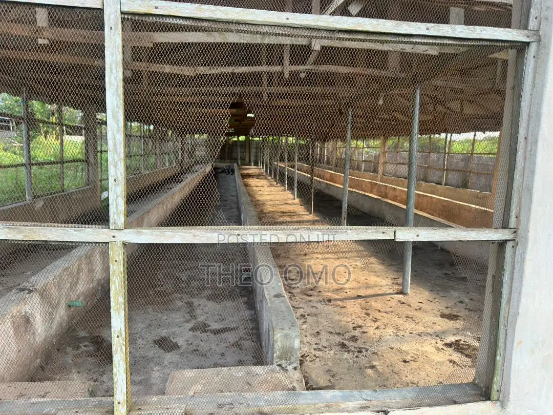 Poultry Farm for Sale