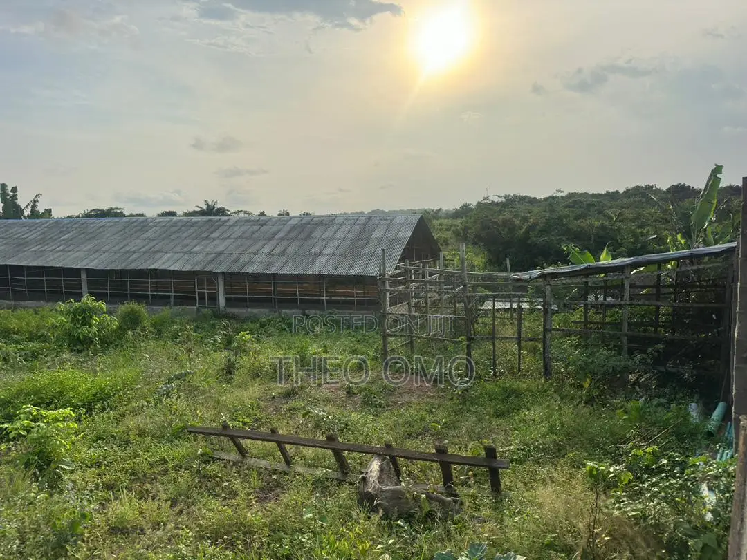 Poultry Farm for Sale