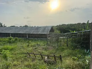 Poultry Farm for Sale