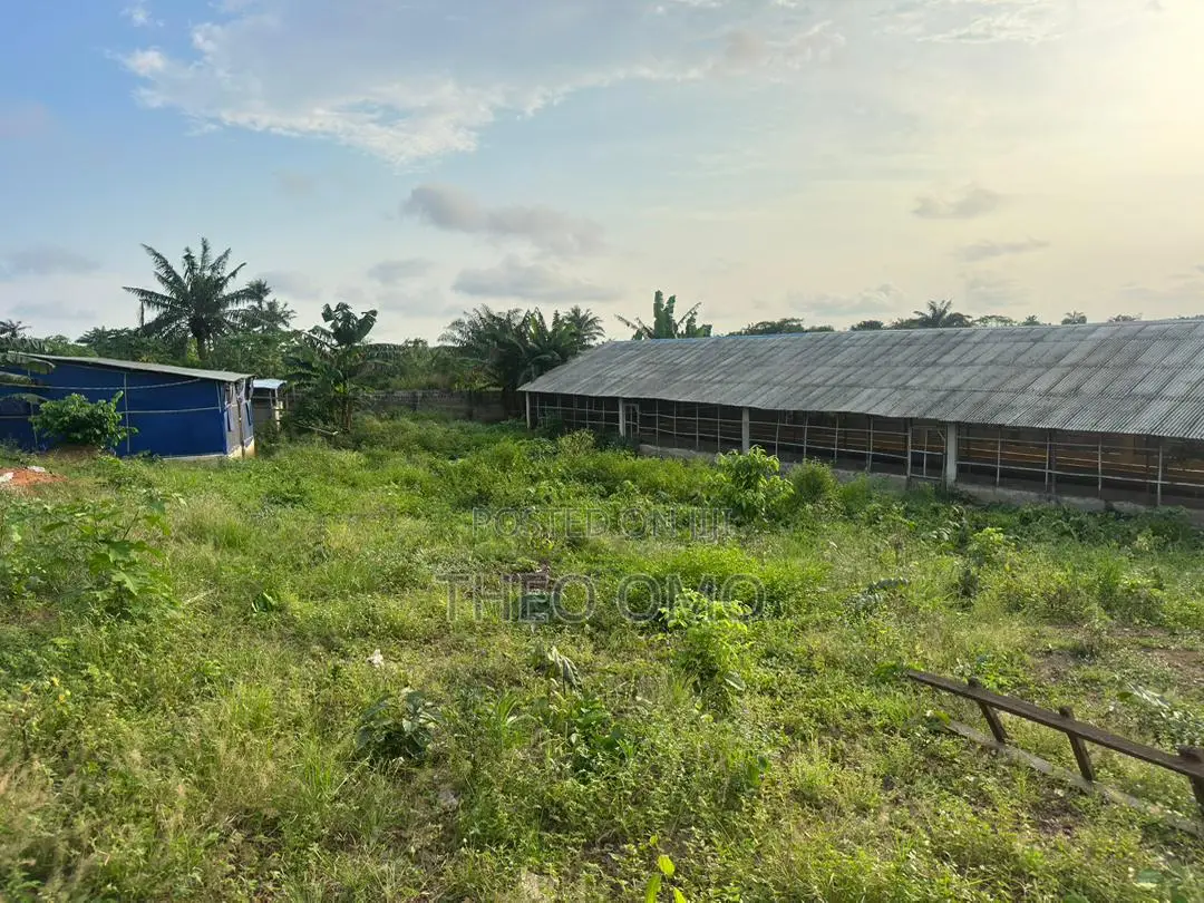 Poultry Farm for Sale
