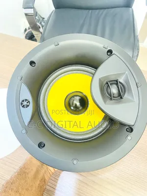 Max Power Ceiling Speaker