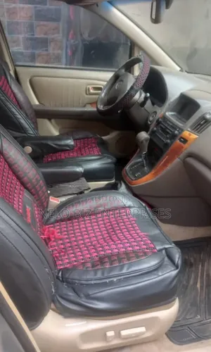 Lexus RX 2001 Gray