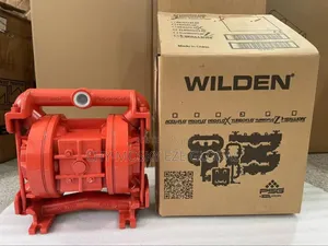 1" Inches Wilden Pump