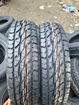 205r16c Bridgestone (2025)