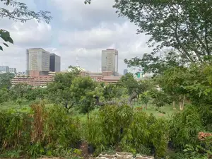 Commercial Land for Sale