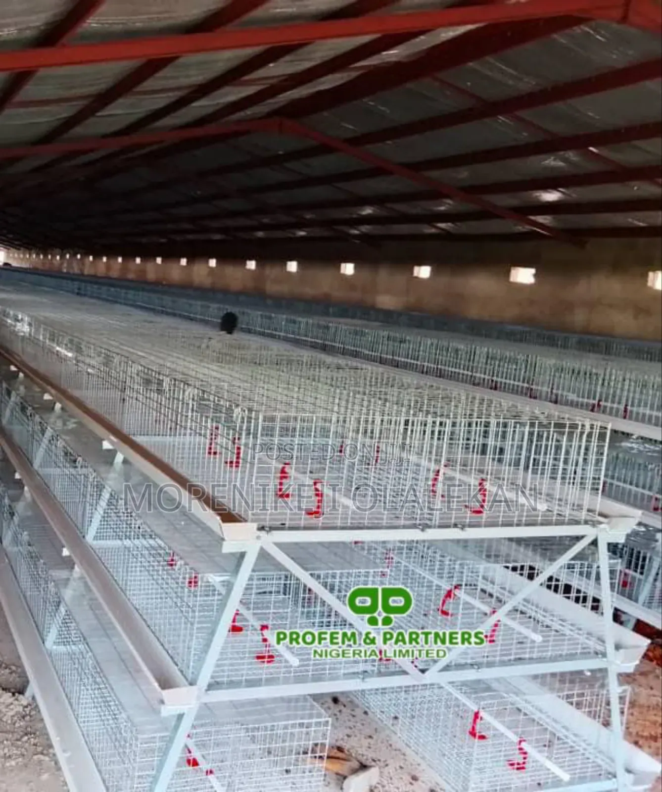 Broiler Brooding Cage