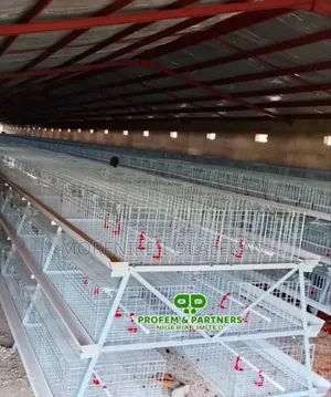 Broiler Brooding Cage